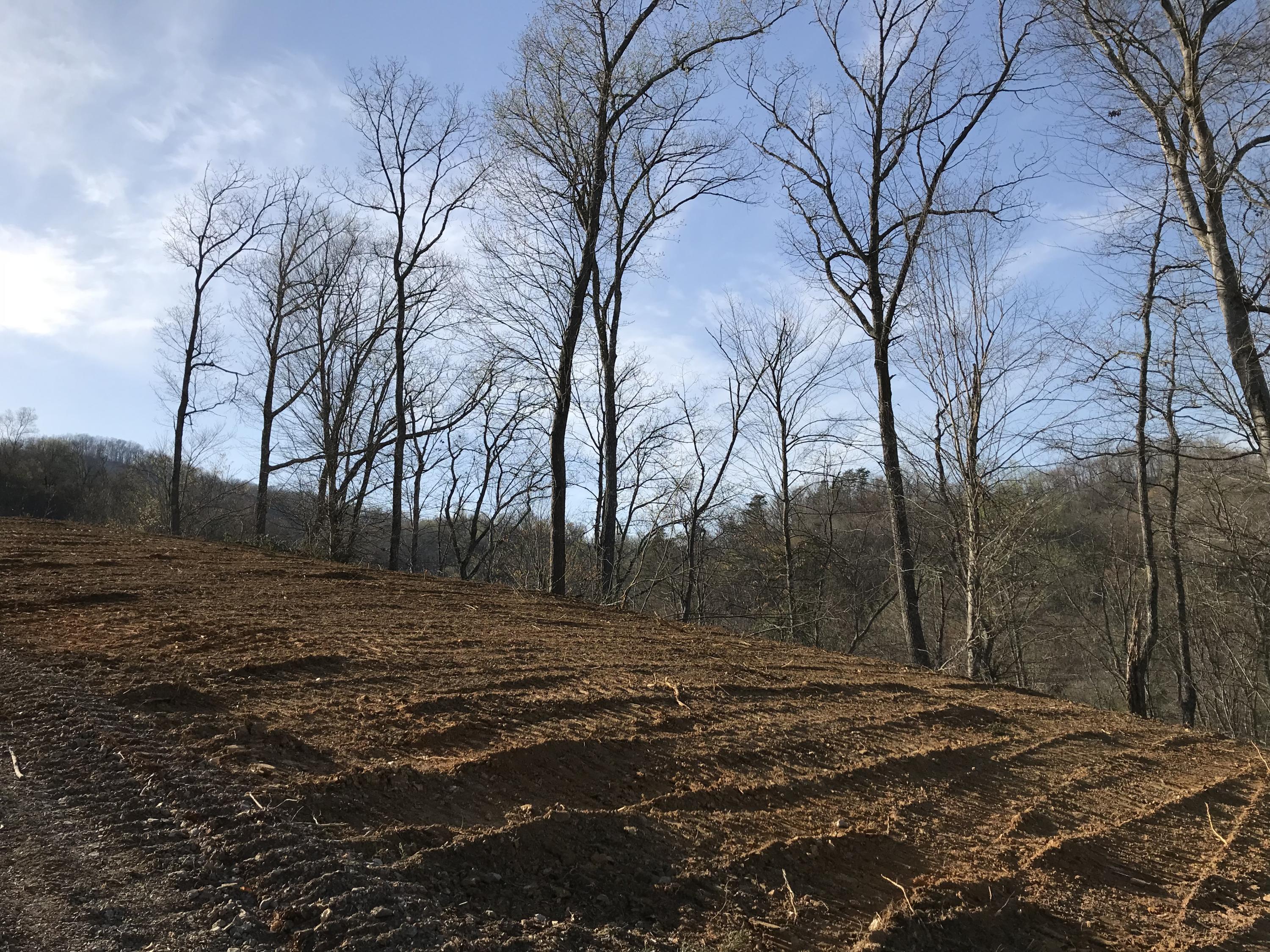 Mountain Shores Rd Road, Unit 10 11 New Tazewell, TN 37825 - Photo 7 of 37 IMG_0144