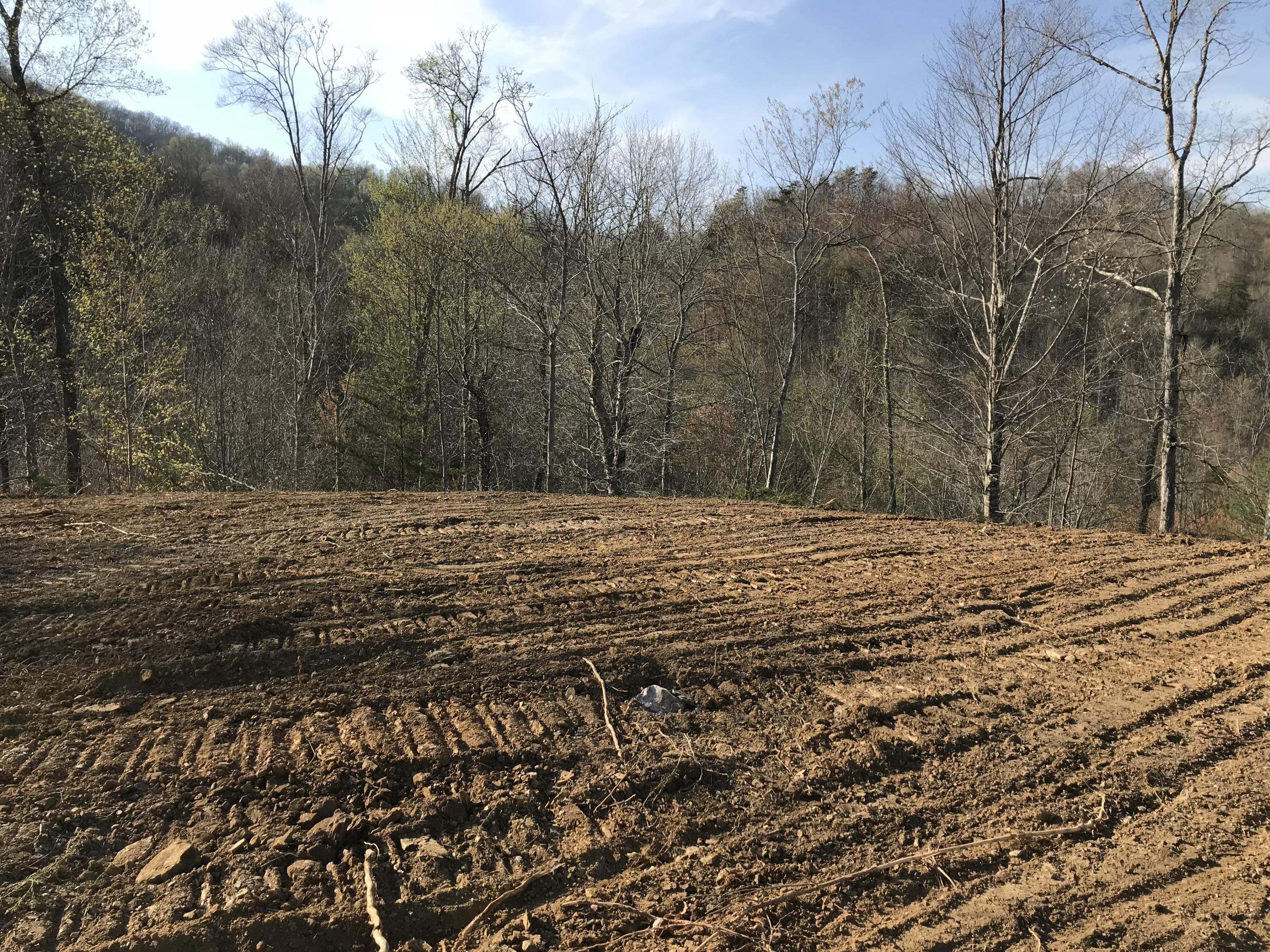 Mountain Shores Rd Road, Unit 10 11 New Tazewell, TN 37825 - Photo 8 of 37 IMG_0138 (2)