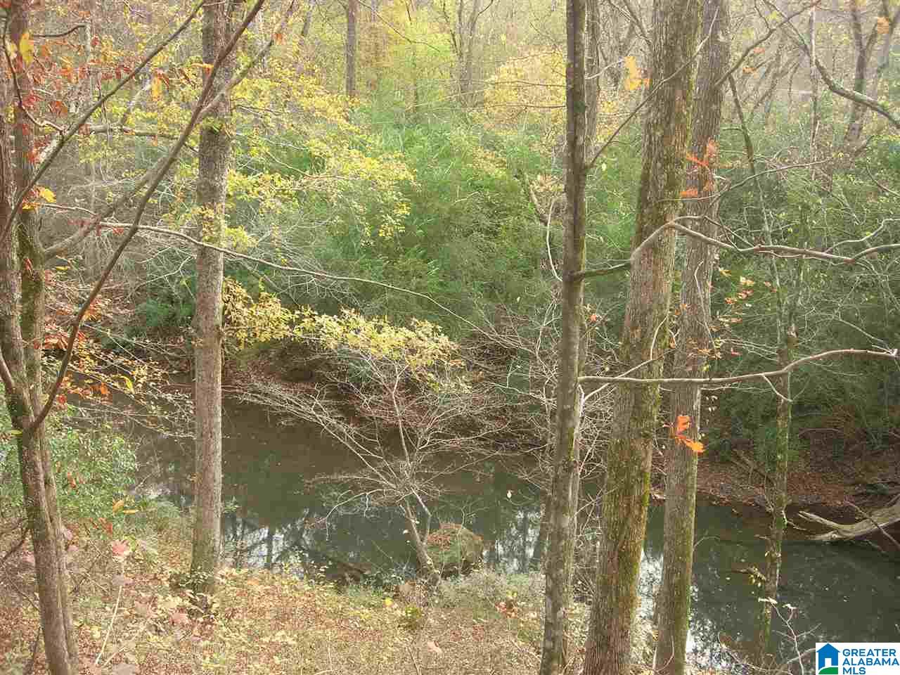 2303 Murphrees Valley Road Springville, AL 35146 - Photo 37 of 40 Gallery Image 37