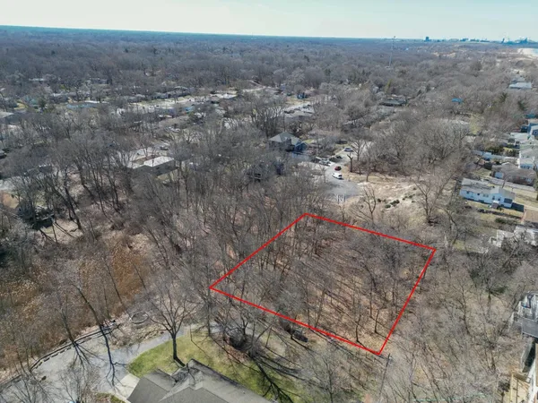 a view of a dry yard with trees