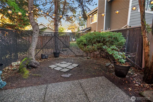 a view of a backyard with plants and large trees
