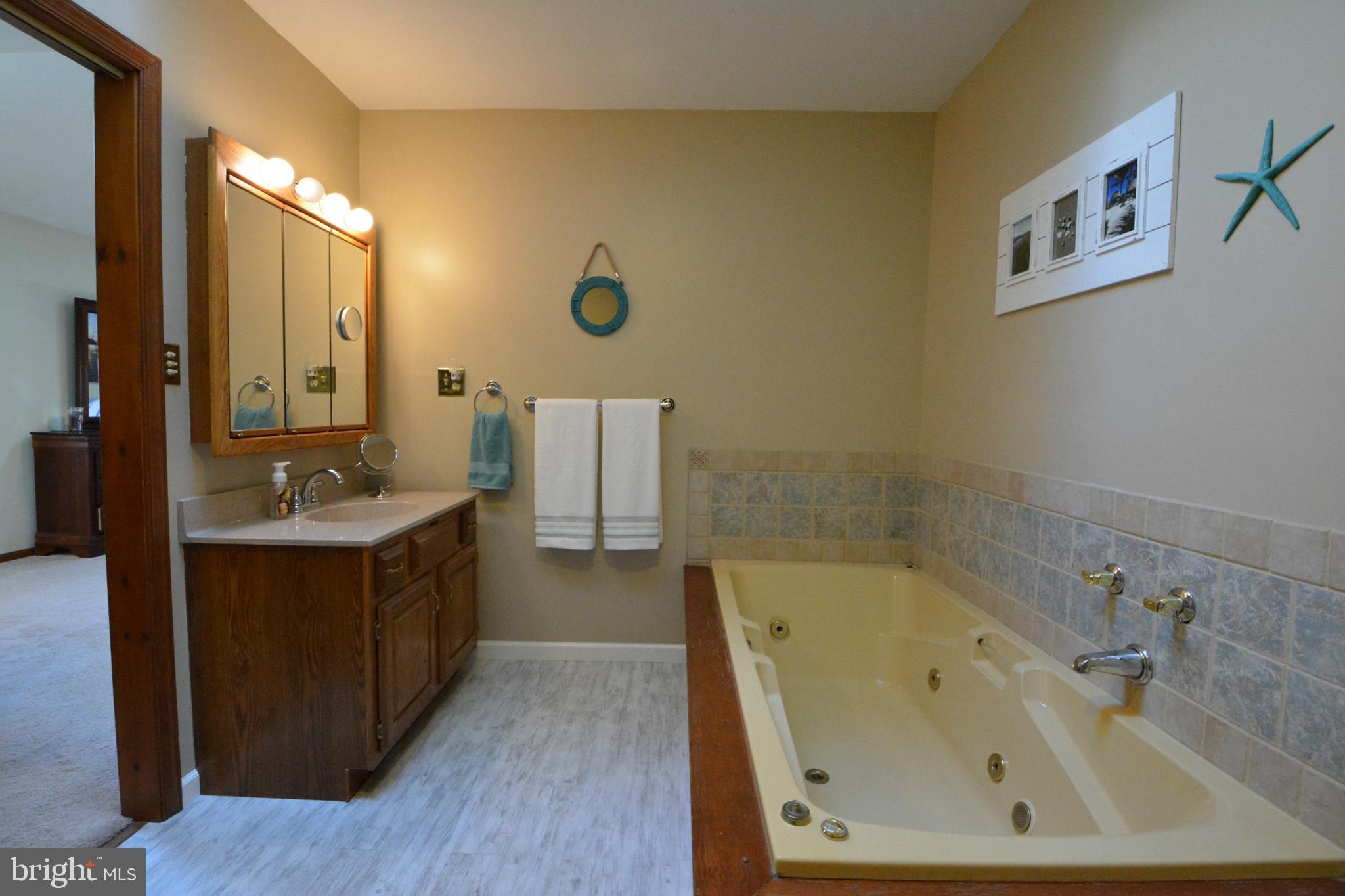 23 Troy Drive Lititz, PA 17543 - Photo 18 of 45 Master Bath View 1: Soaking tub & new flooring!