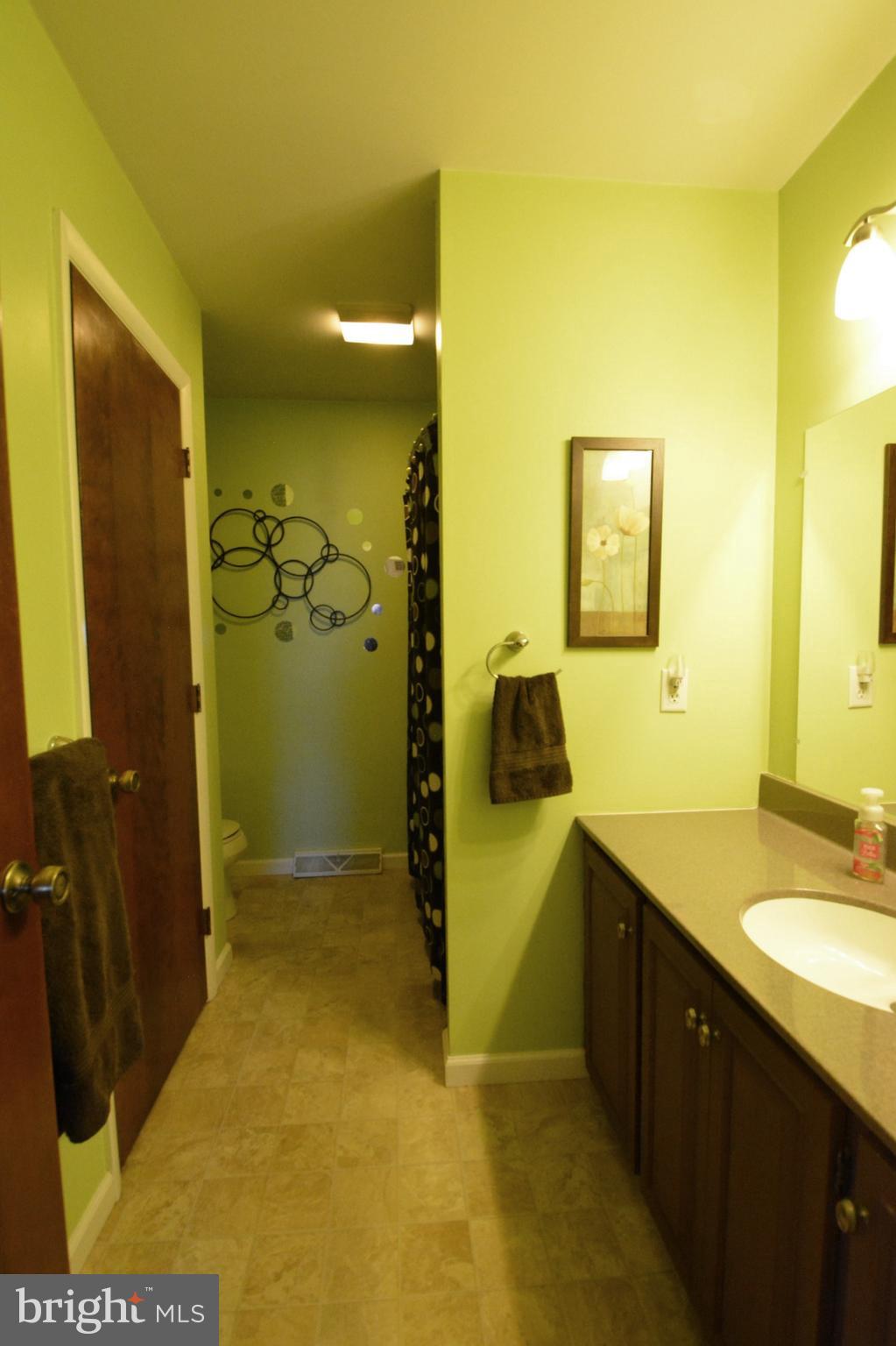 23 Troy Drive Lititz, PA 17543 - Photo 26 of 45 Main Hall Update Bath