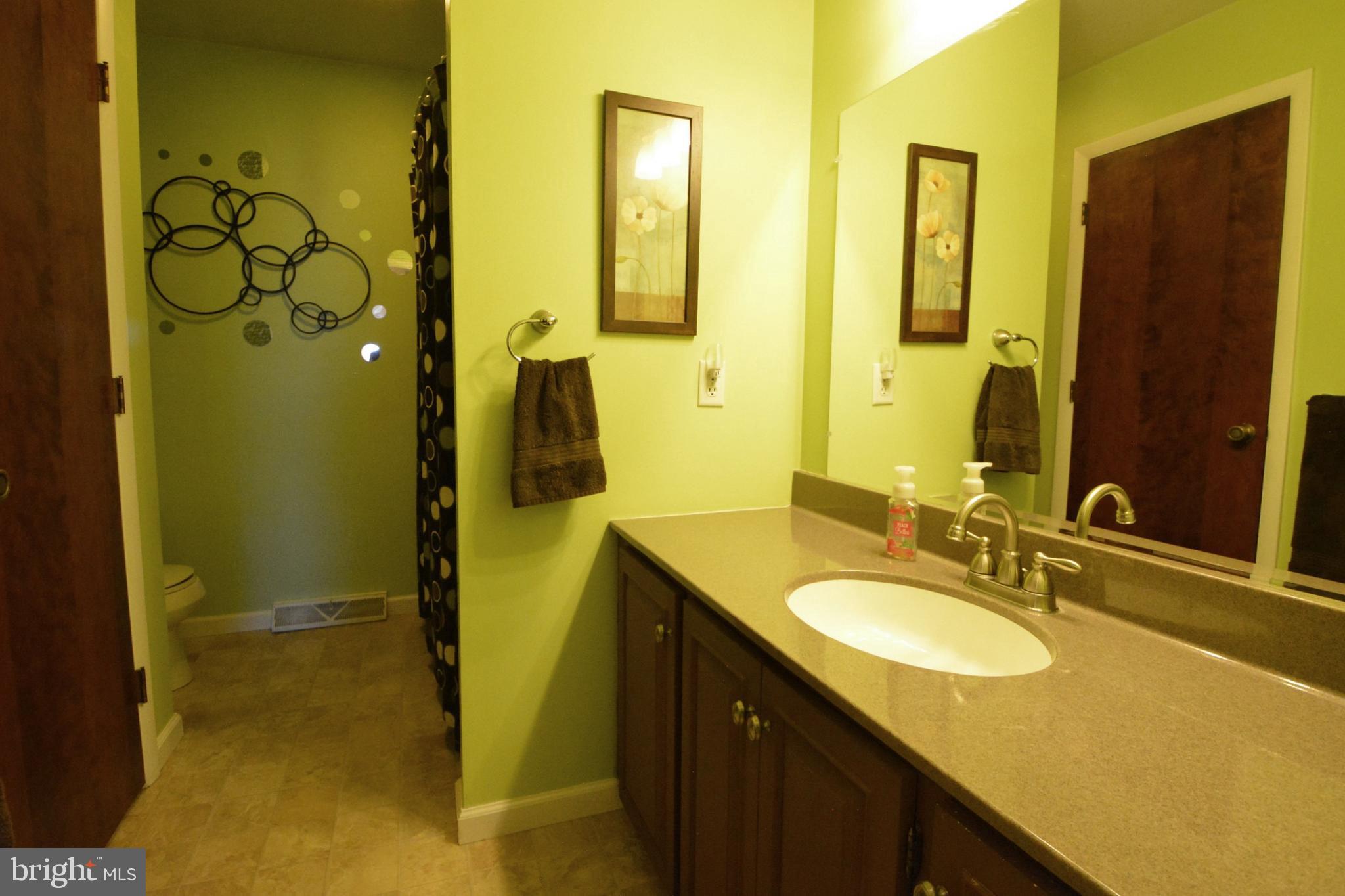 23 Troy Drive Lititz, PA 17543 - Photo 27 of 45 Main Hall Updated Bath