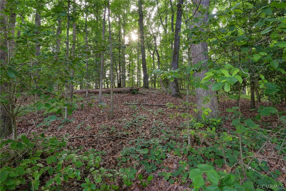 11336 Cedar Run Road Petersburg, VA 23805 - Photo 20 of 21 Gallery Image 20