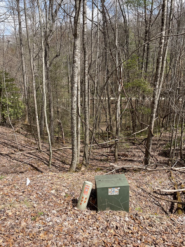 0 Hidden Lakes Road Topton, NC 28781 - Photo 8 of 14