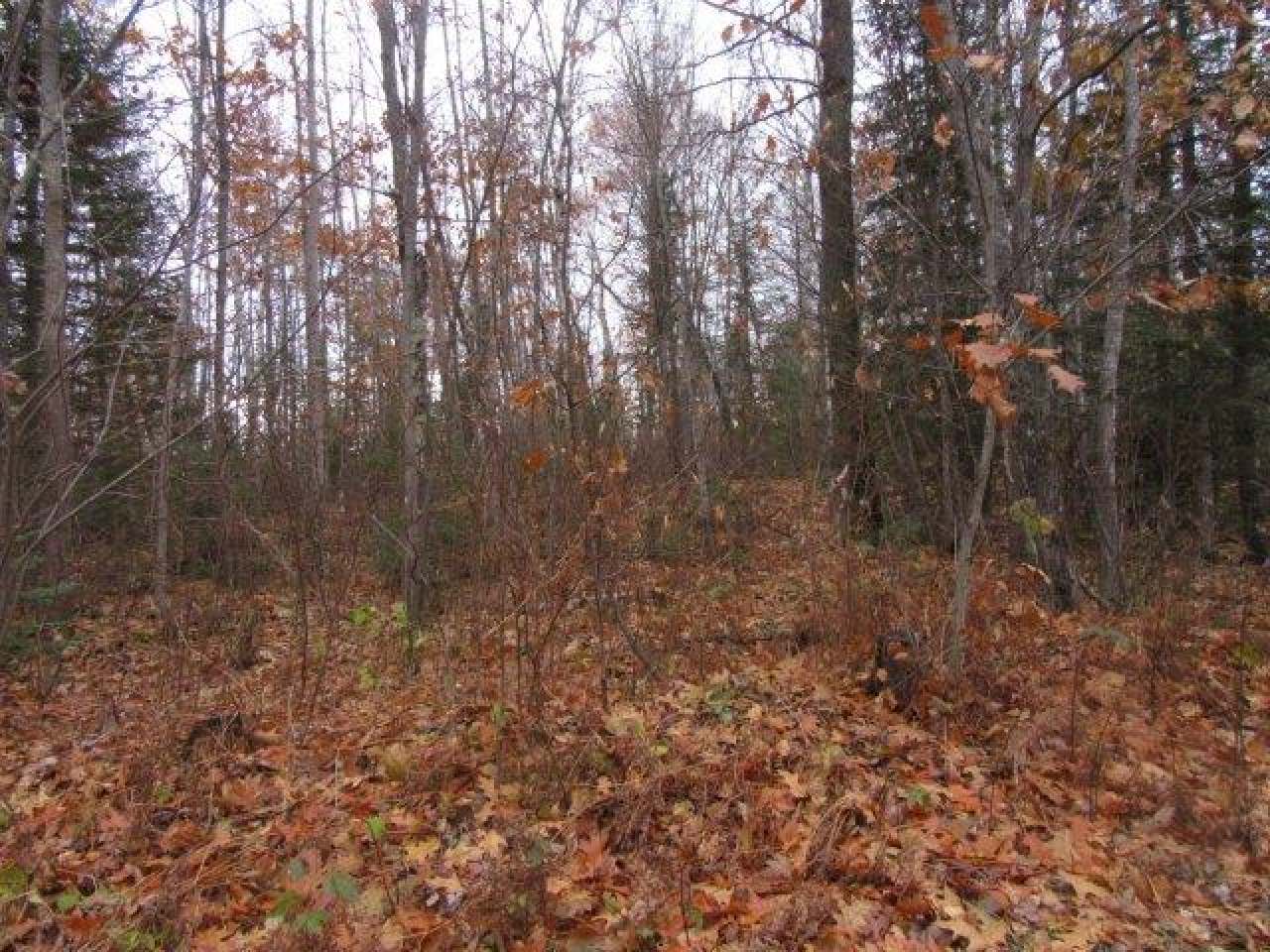 On Cir Lily Road, Unit LOT 3 Manitowish Waters, WI 54545 - Photo 3 of 6 Gallery Image 3