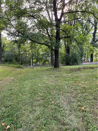 a view of a green field with trees in the background