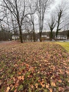 0 Harvard Road Monroeville, PA 15146 - Photo 8 of 8 a large tree covered with tall trees
