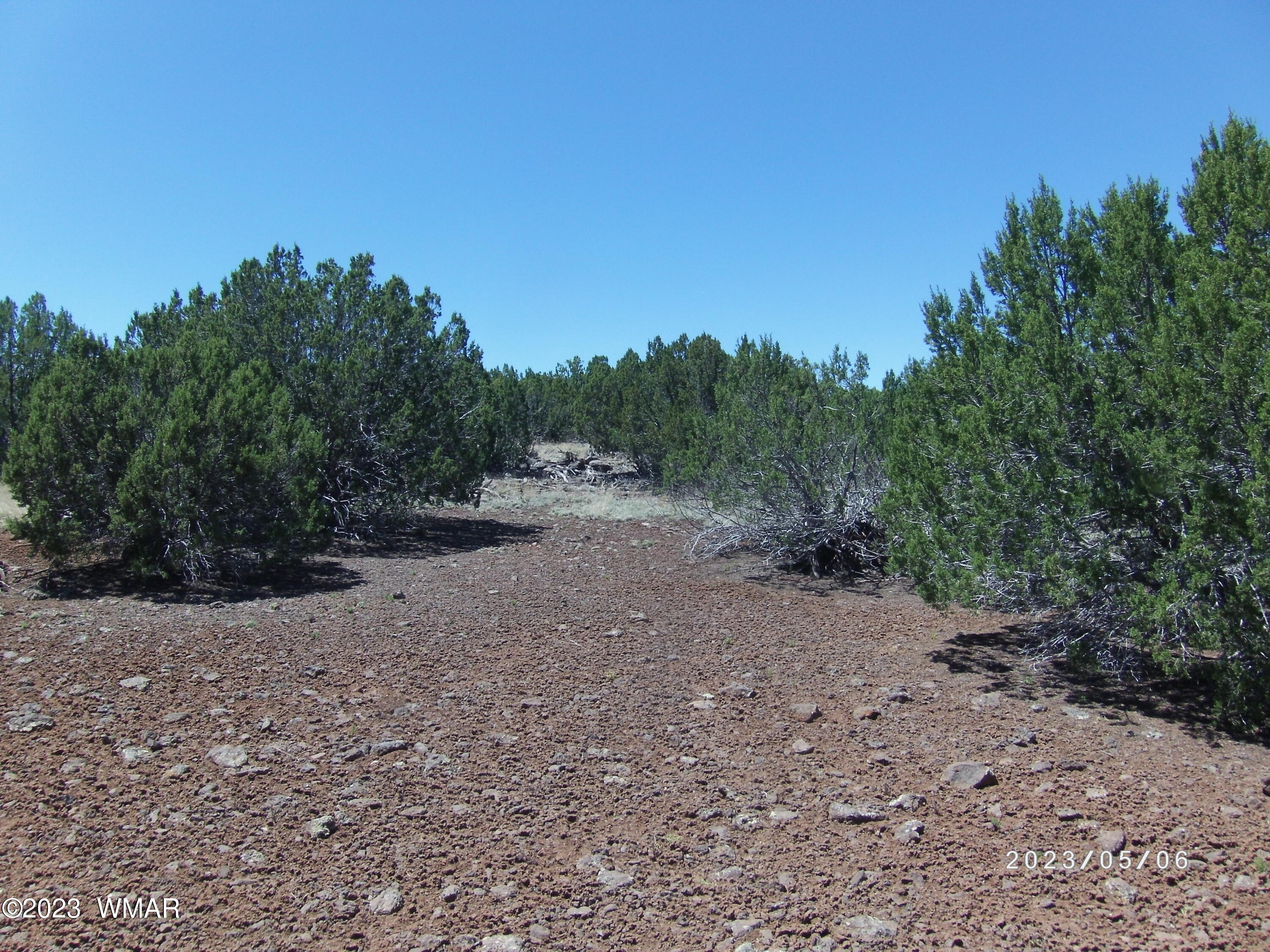 Tbd Tbd Powell Lane Show Low, AZ 85901 - Photo 4 of 6