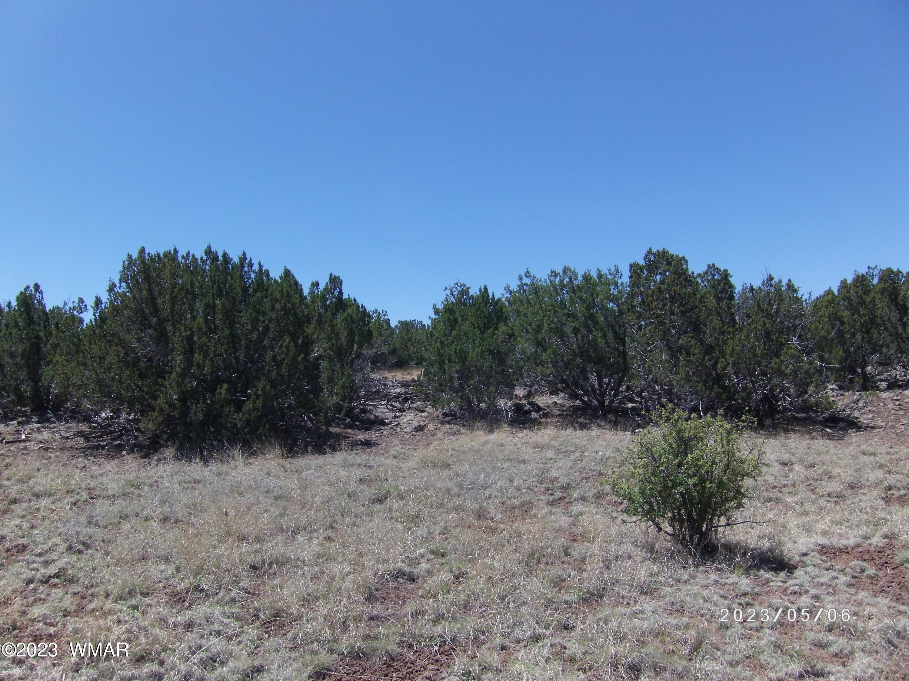 Tbd Tbd Powell Lane Show Low, AZ 85901 - Photo 6 of 6