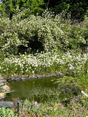 $399,000 | 446 Highland Avenue, Manchester, VT 05255