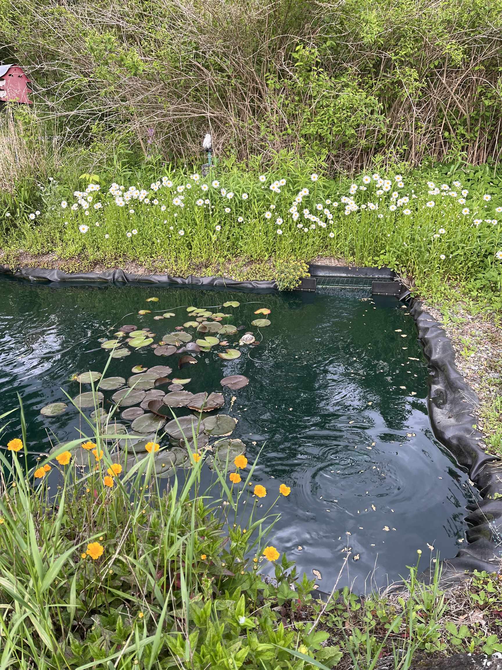 446 Highland Avenue Manchester, VT 05255 - Photo 54 of 62