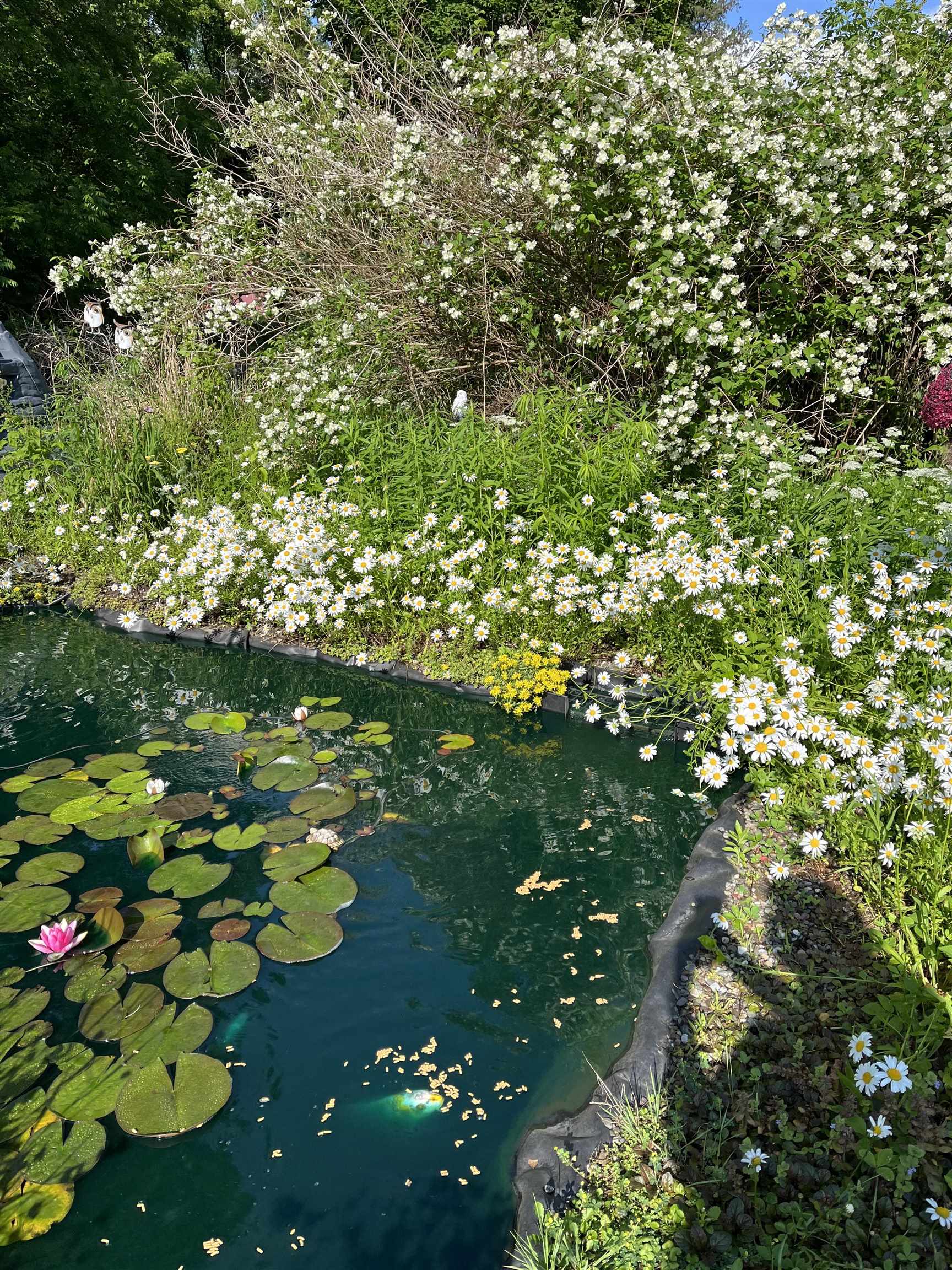 446 Highland Avenue Manchester, VT 05255 - Photo 55 of 62