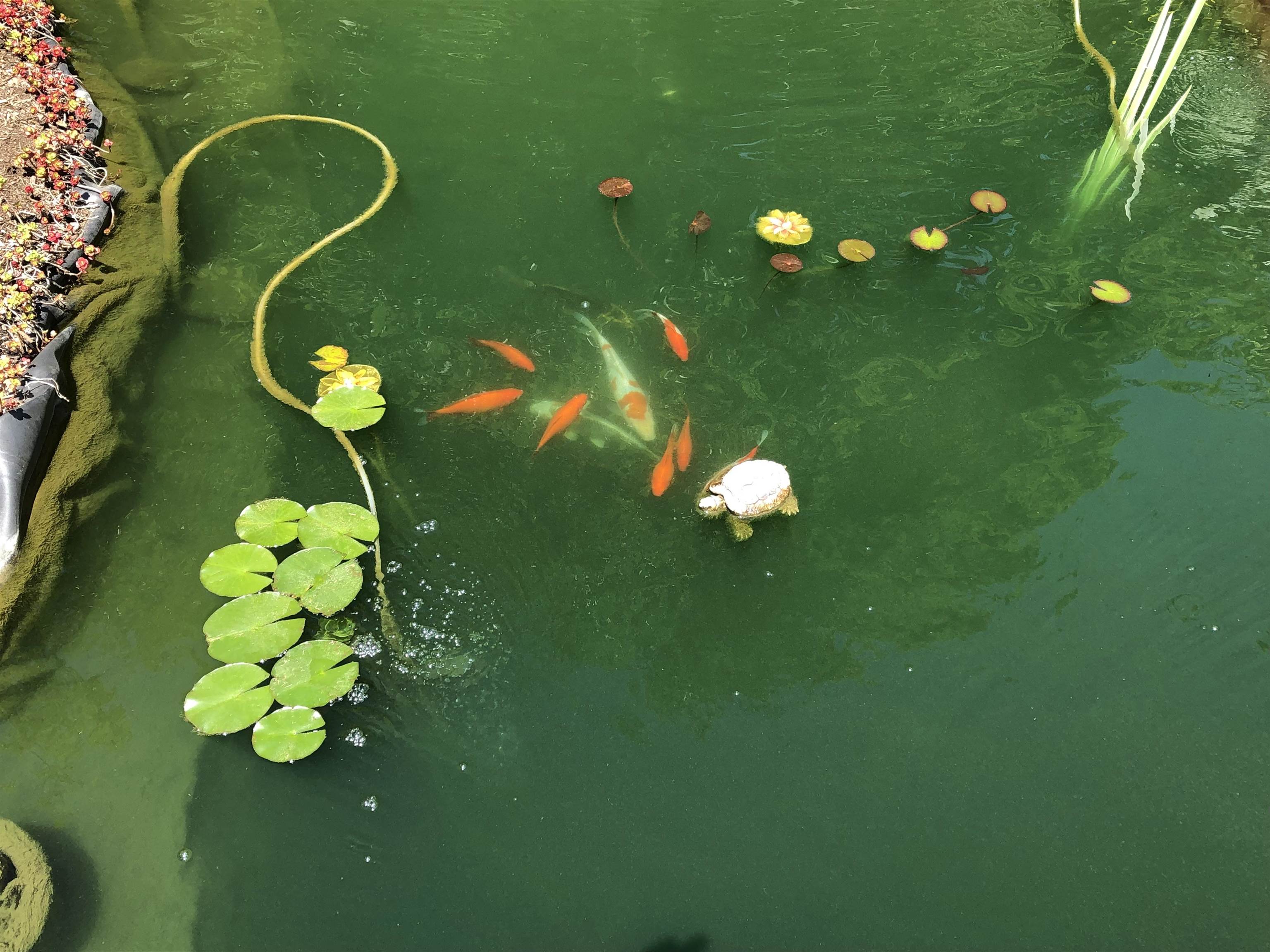 446 Highland Avenue Manchester, VT 05255 - Photo 56 of 62