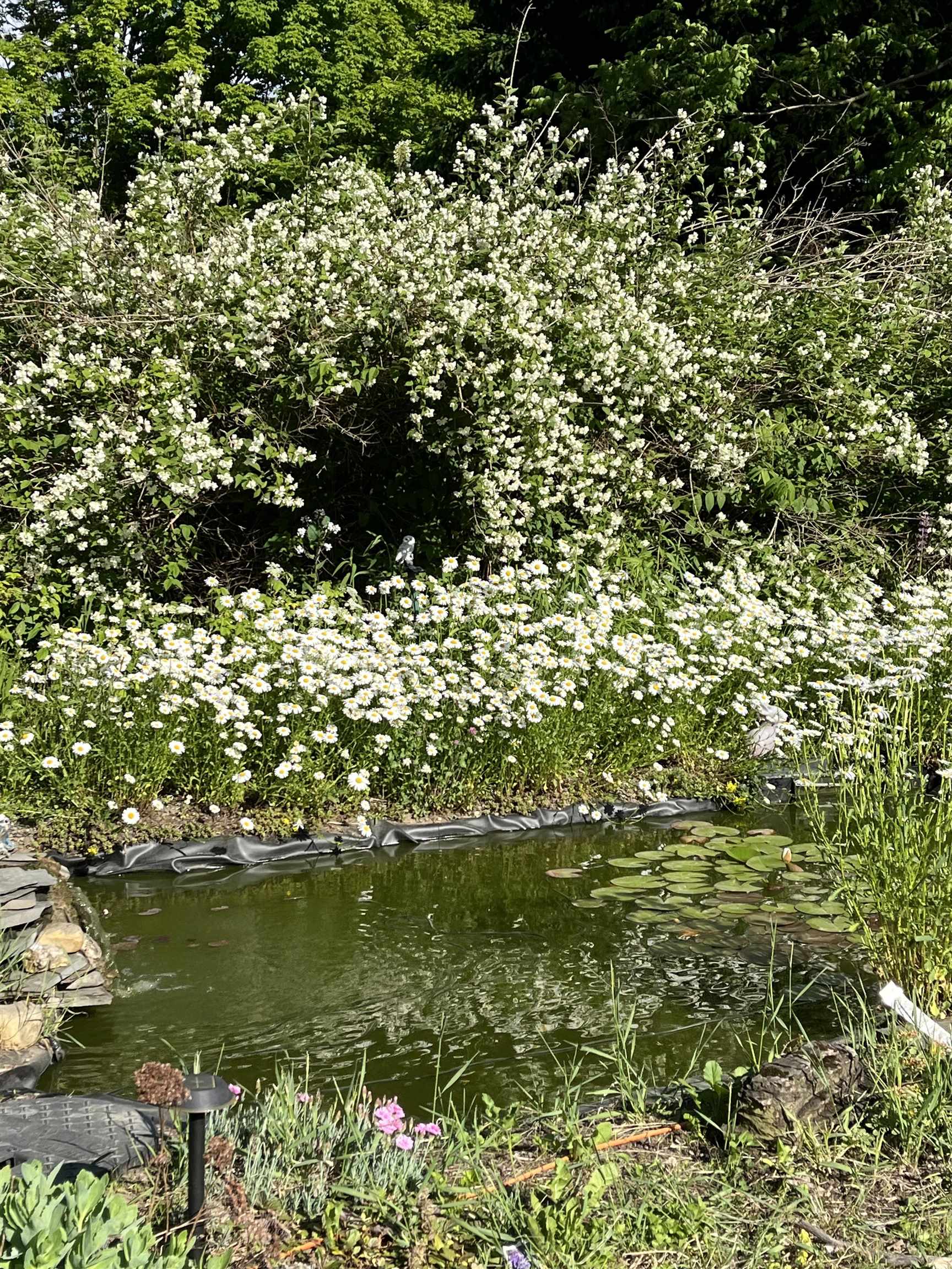 446 Highland Avenue Manchester, VT 05255 - Photo 57 of 62