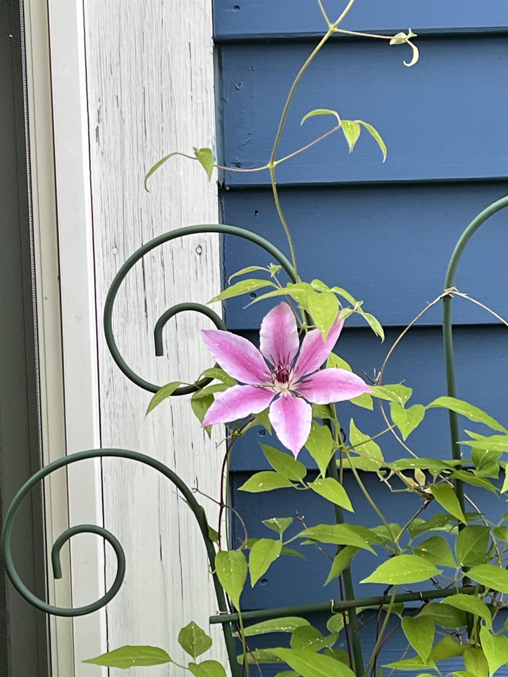 446 Highland Avenue Manchester, VT 05255 - Photo 60 of 62