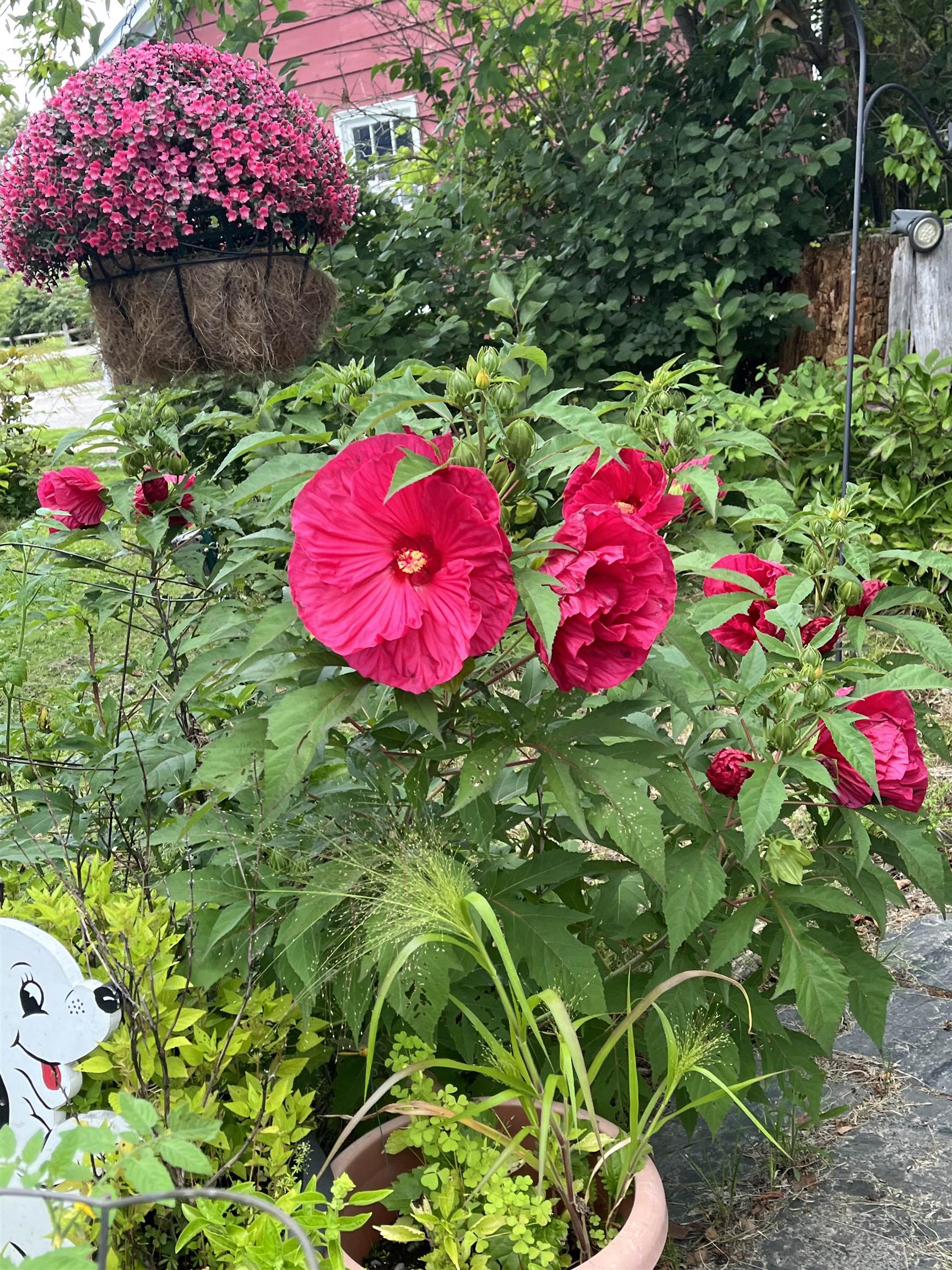 446 Highland Avenue Manchester, VT 05255 - Photo 61 of 62