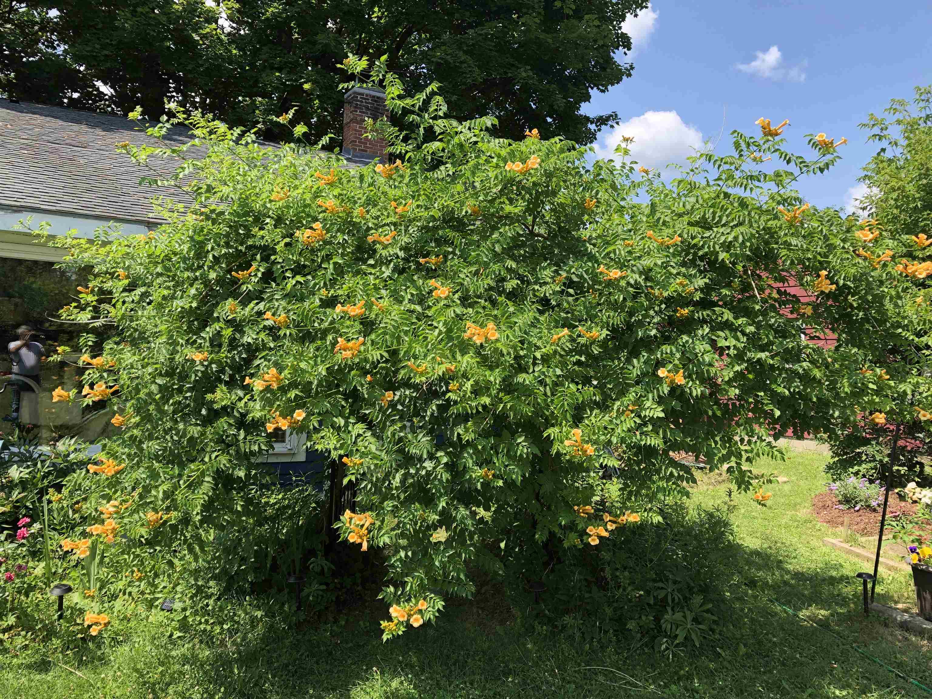 446 Highland Avenue Manchester, VT 05255 - Photo 62 of 62