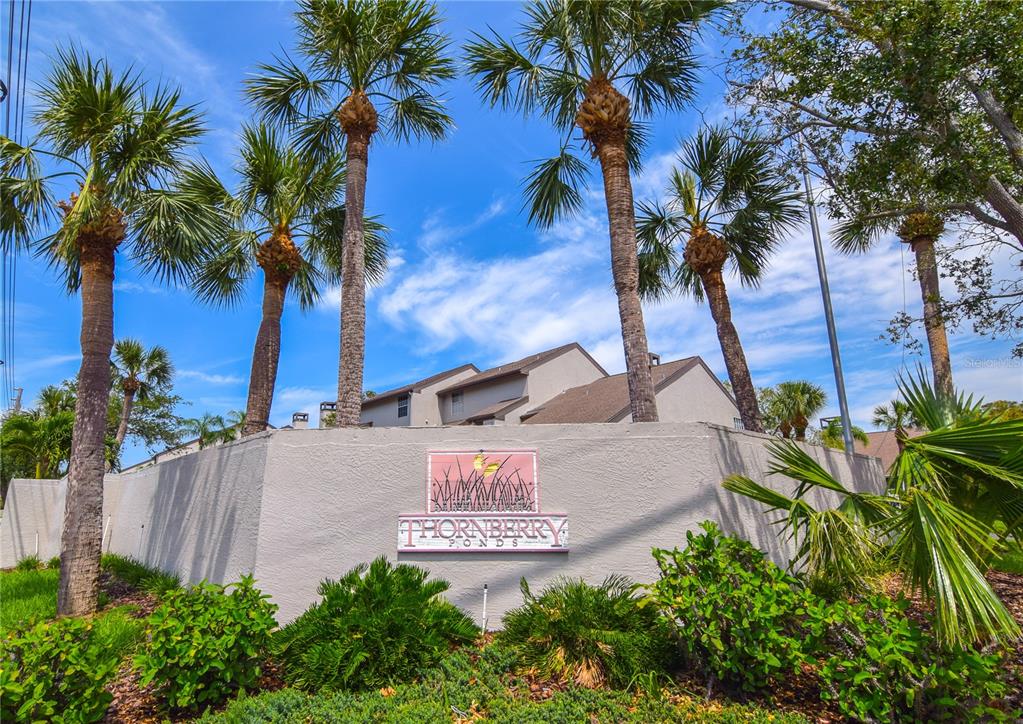 4684 West Huron Road St. Petersburg, FL 33708 - Photo 25 of 31 a view of a palm tree with flower plants and palm trees