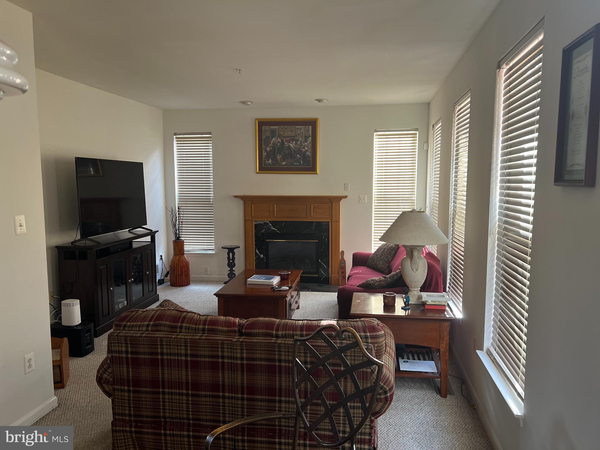 1007 Bohac Lane Accokeek, MD 20607 - Photo 13 of 22 a living room with furniture a flat screen tv and a fireplace