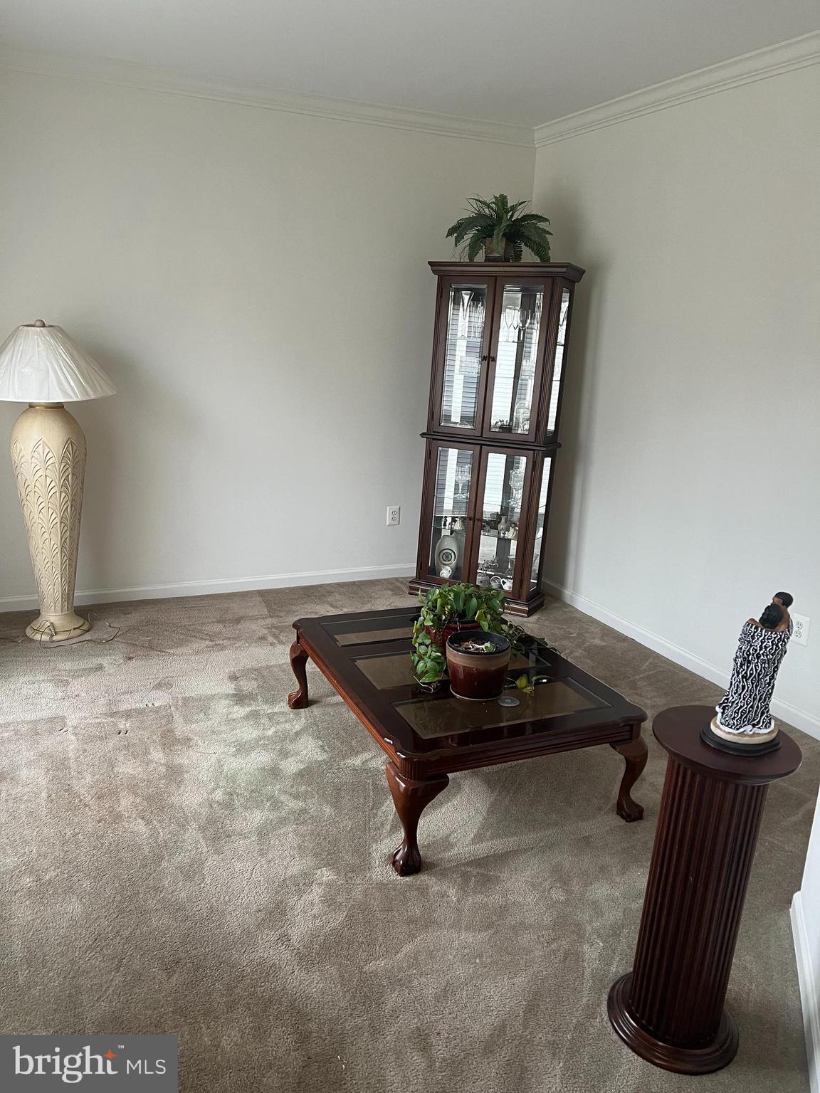 1007 Bohac Lane Accokeek, MD 20607 - Photo 7 of 22 a living room with furniture rug and a window