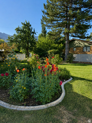 2924 Robidoux Road Sandy, UT 84093 - Photo 20 of 68 Manicured lawn with a curved concrete garden bed, mature trees, and vibrant flowering plants