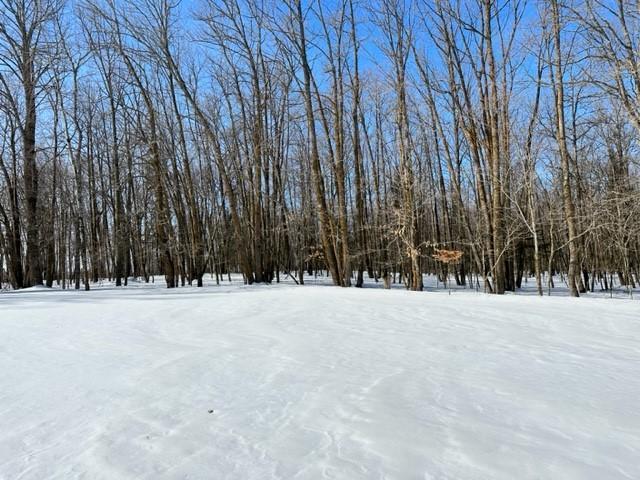 Tbd Silver Maple Road Northwest Puposky, MN 56667 - Photo 1 of 1 Gallery Image 1