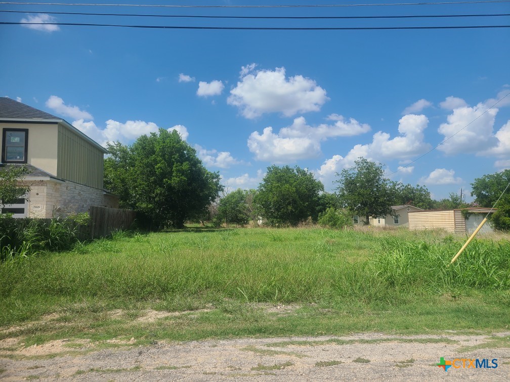 a view of a big yard