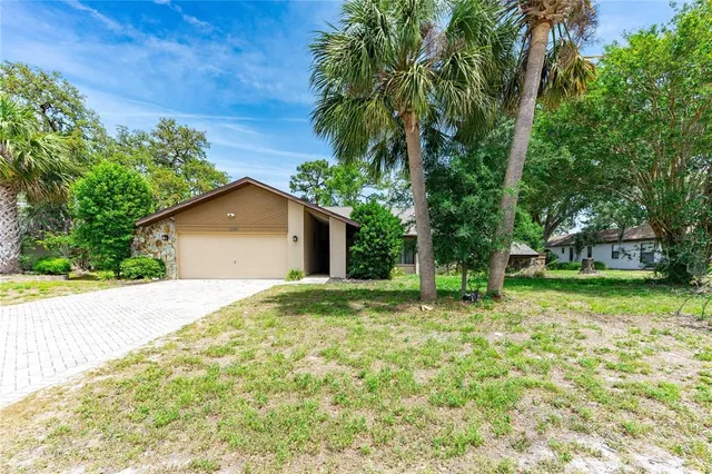 a backyard of a house with plants and large tree