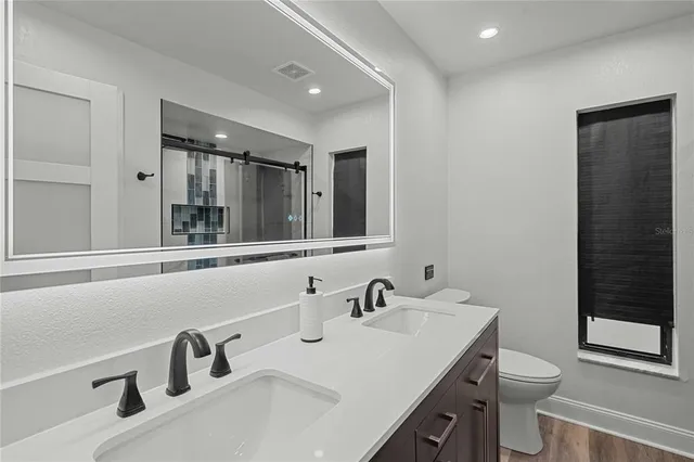 a bathroom with a sink and a toilet