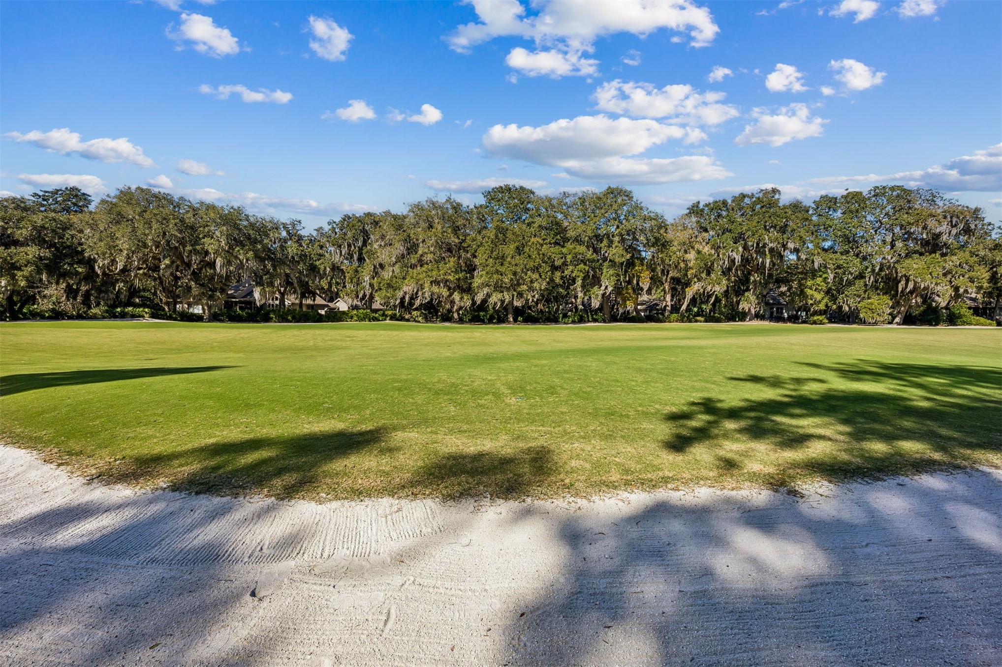 39 Marsh Creek Road Fernandina Beach, FL 32034 - Photo 76 of 78 a view of a big yard with lots of green space