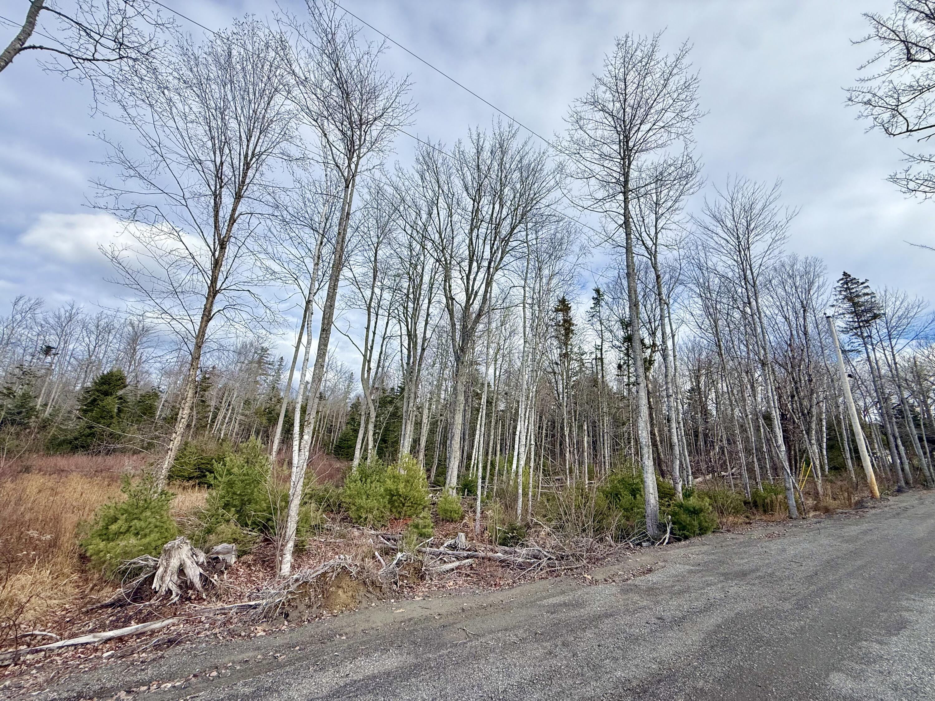 Lot 8 Sunset Hill Road Hancock, ME 04640 - Photo 5 of 13 Lot 8