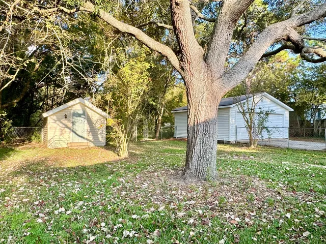 a tree in the garden of a house