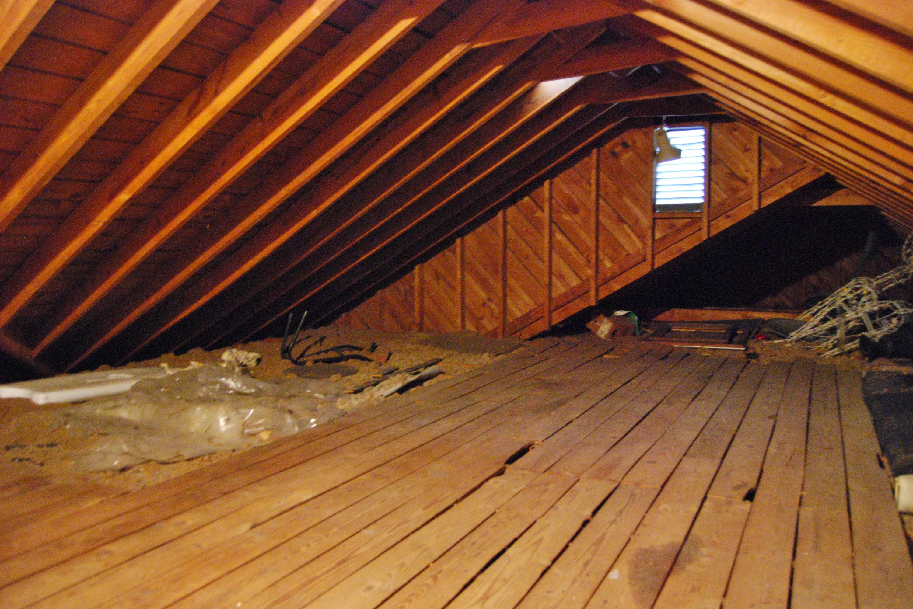 103 Rees Avenue Chattanooga, TN 37411 - Photo 19 of 23 Attic