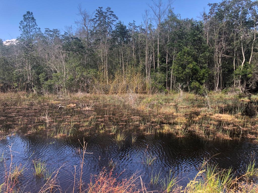 Undisclosed Address Samson, AL 36477 - Photo 20 of 39