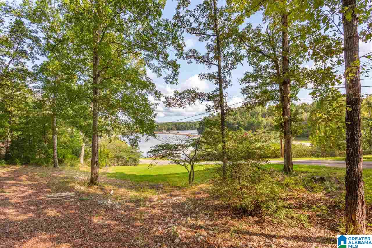 59 Mohawk Trail Ohatchee, AL 36271 - Photo 27 of 47
