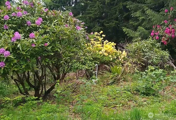 $199,900 | 34502 Southeast 325th Street, Ravensdale, WA 98051