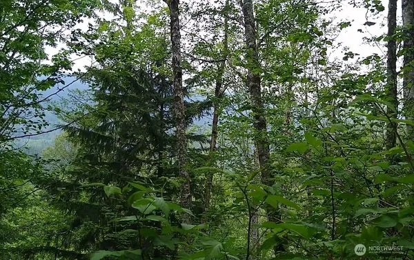 $199,900 | 34502 Southeast 325th Street, Ravensdale, WA 98051