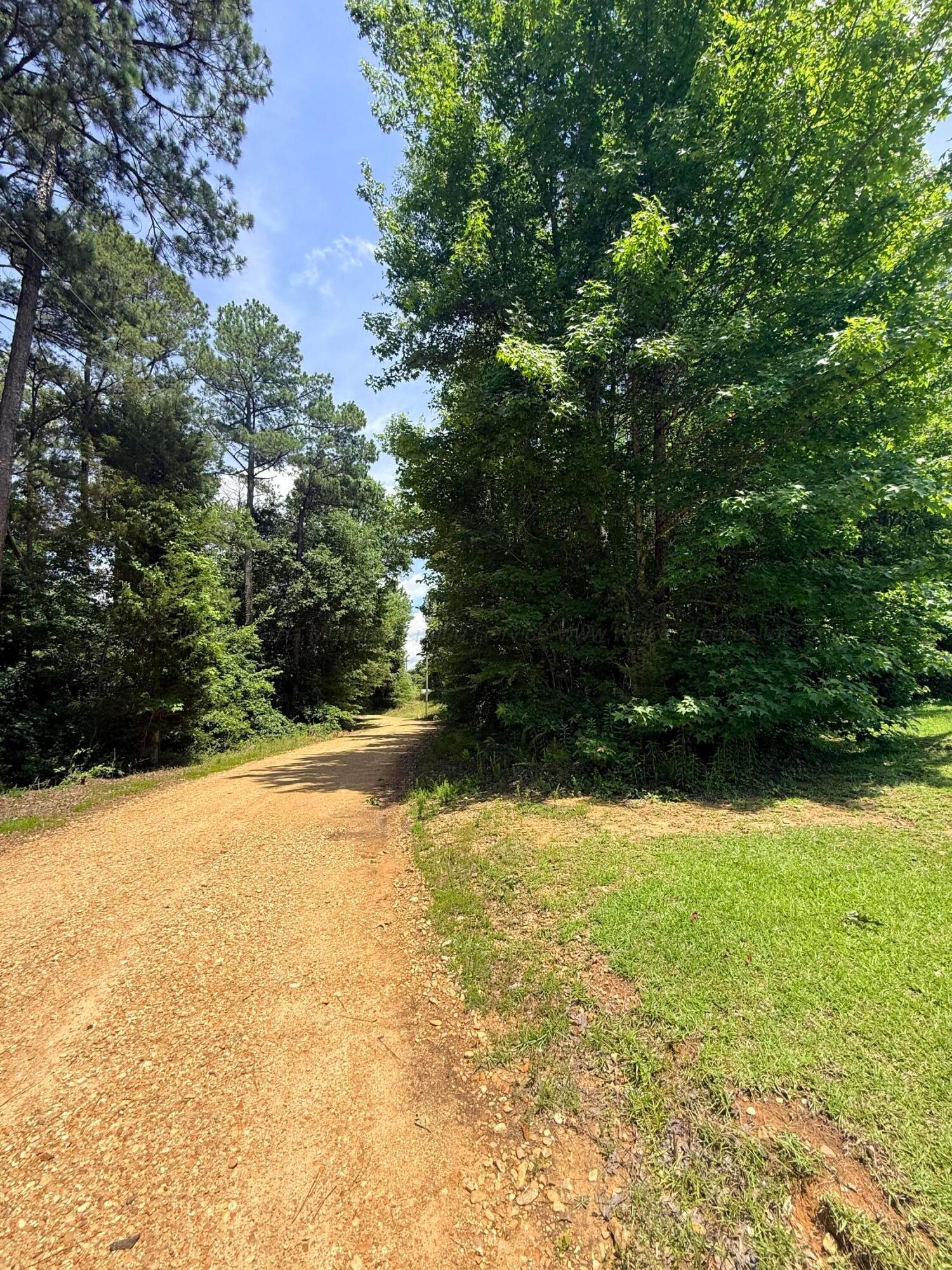 49 County Road Beaverton, AL 35544 - Photo 5 of 9 Gallery Image 5