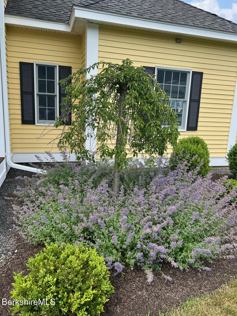 121 East Dugway Road Lenox, MA 01240 - Photo 7 of 45 FrontGarden