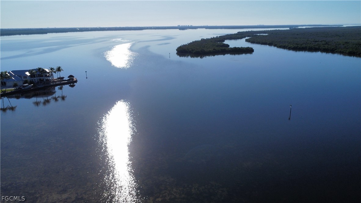 4743 Pine Island Road Matlacha, FL 33993 - Photo 18 of 34 a close up of a plant in a kitchen