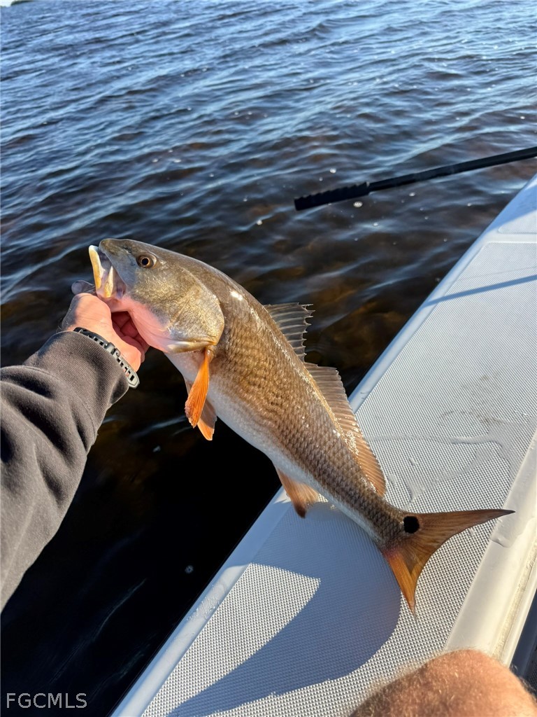 4743 Pine Island Road Matlacha, FL 33993 - Photo 23 of 34 a view of entryway