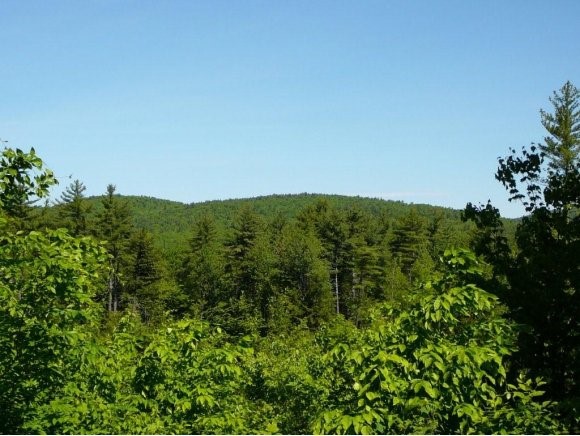 0 Thurston Pond Road Center Conway, NH 03813 - Photo 1 of 1