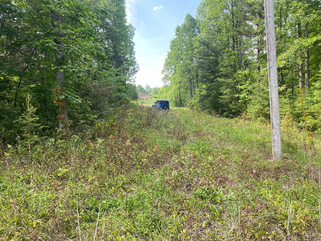 Tbd Goddard Road Wallingford, KY 41093 - Photo 4 of 24 03