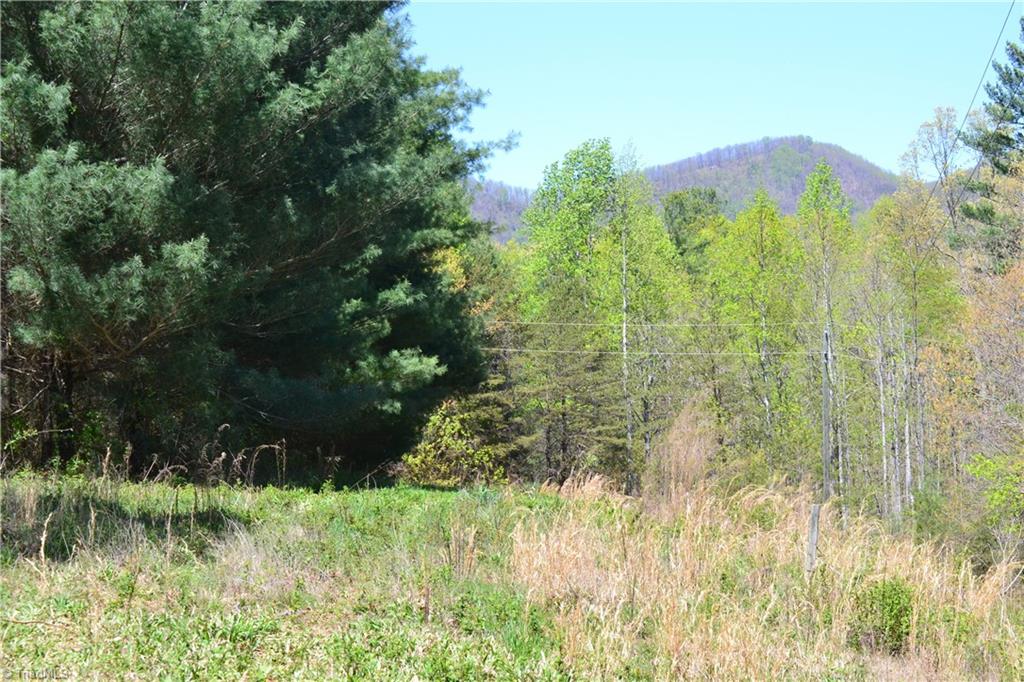 0 Swaringen Road Traphill, NC 28685 - Photo 2 of 15