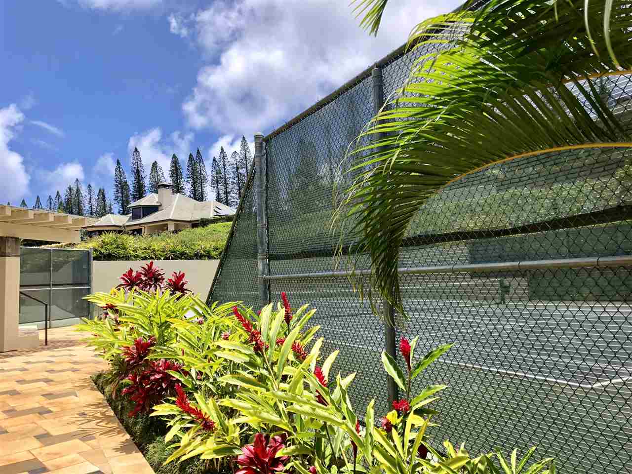 200 Crestview Road Lahaina, HI 96761 - Photo 26 of 28 Gallery Image 26