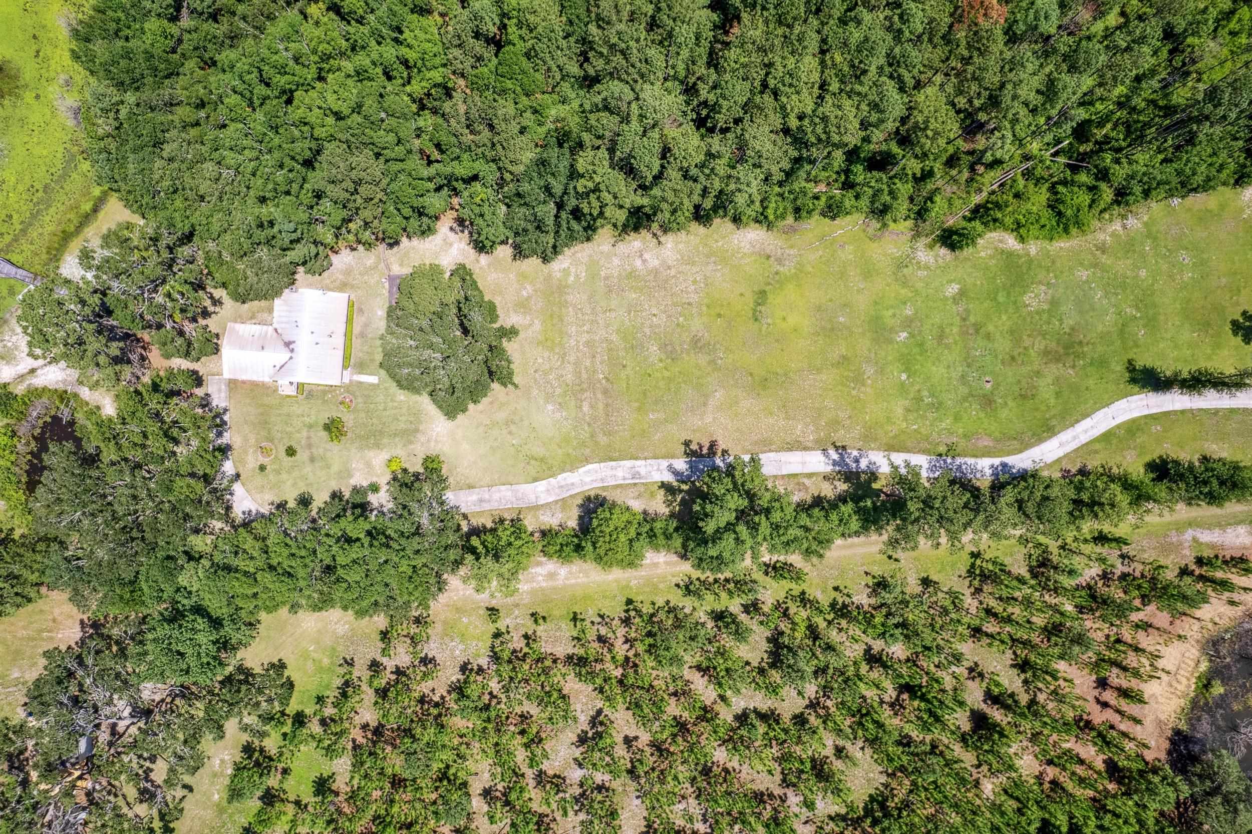 9849 Highway 53 Madison, FL 32340 - Photo 55 of 67