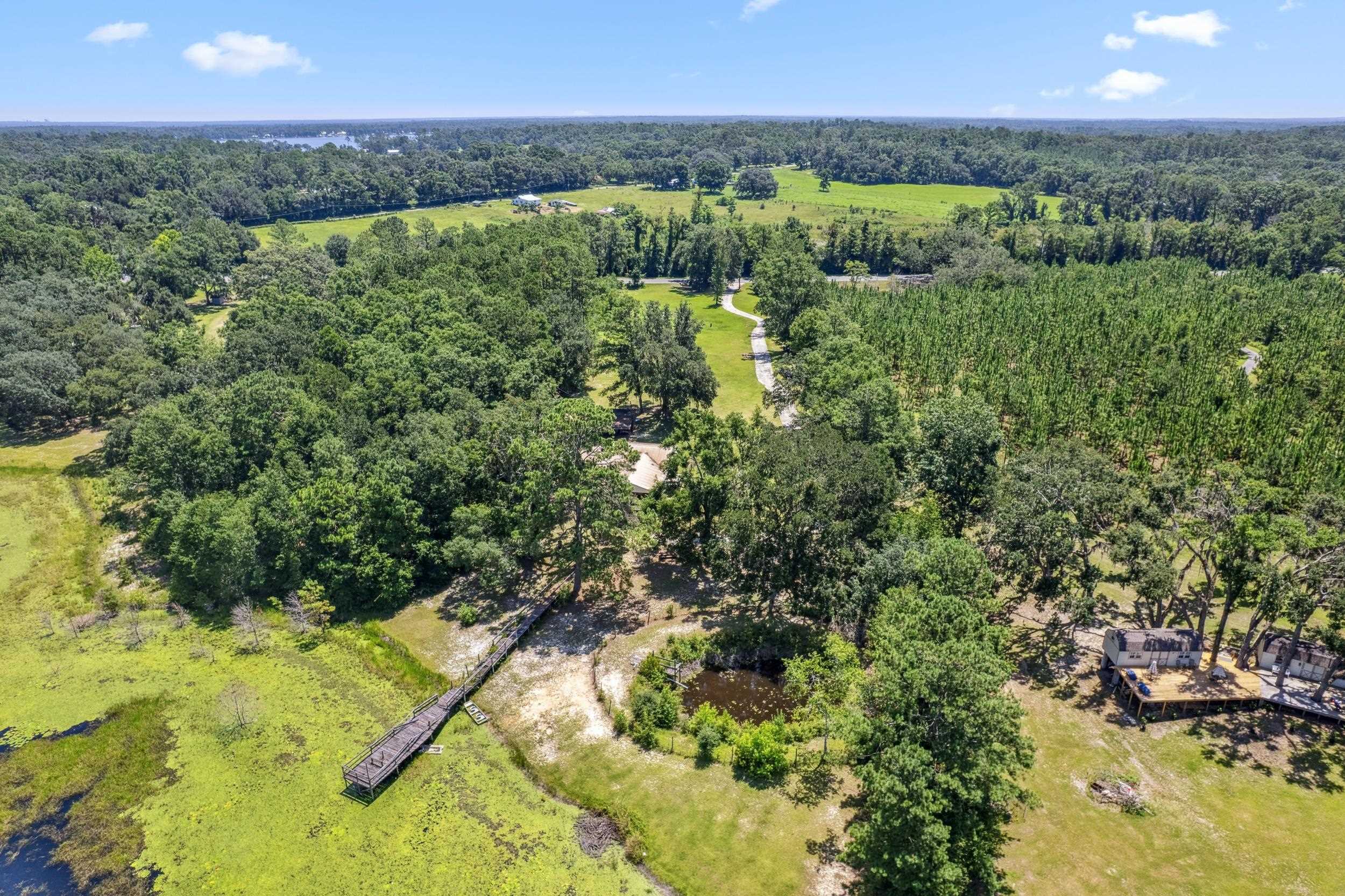 9849 Highway 53 Madison, FL 32340 - Photo 60 of 67