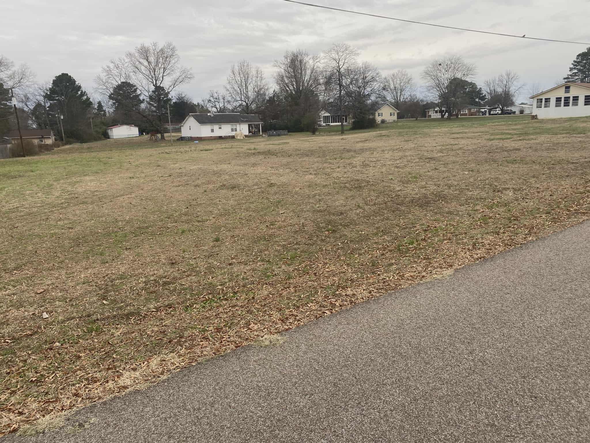 175 Austin Street Savannah, TN 38372 - Photo 29 of 33 a view of a field